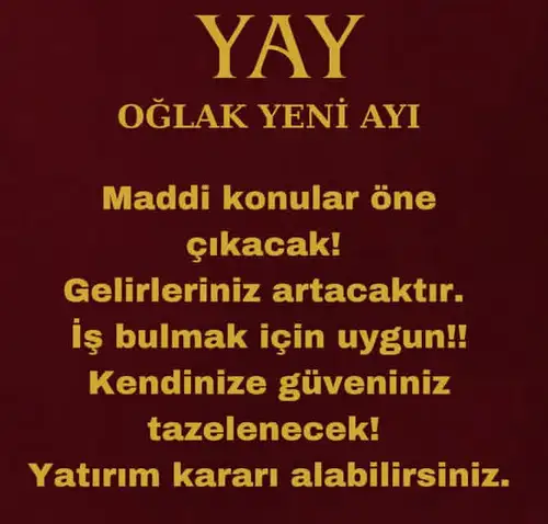 o11 (9).webp