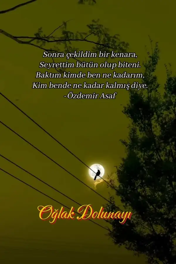 o12 (1).webp