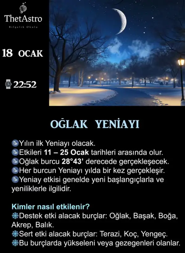o12 (1).webp