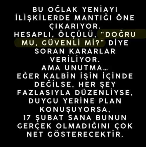 o13 (10).webp