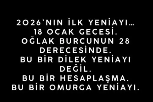 o13 (3).webp
