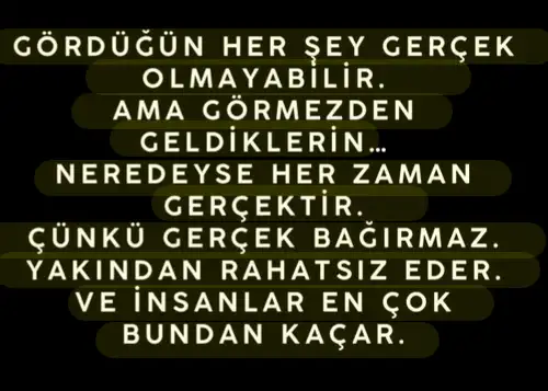 o13 (9).webp