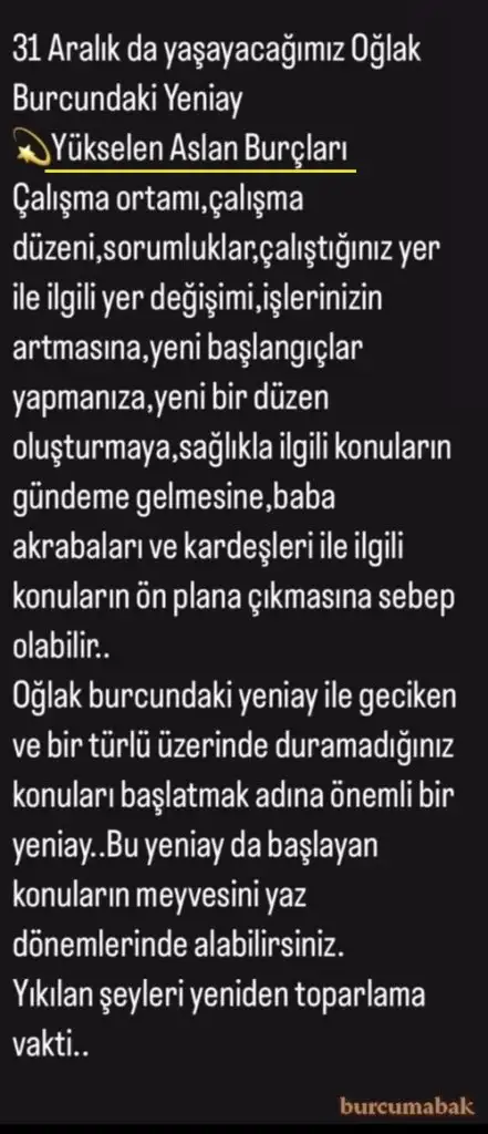 o14 (1).webp