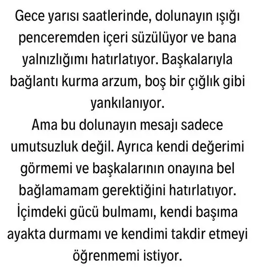 o14 (4).webp