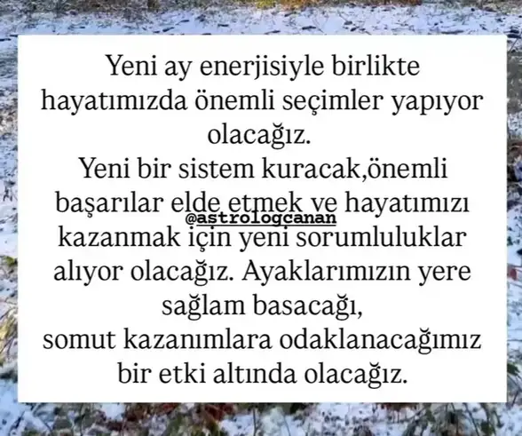 o14 (4).webp