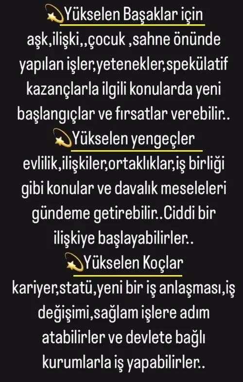o14 (5).webp
