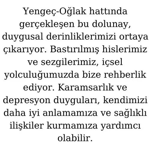 o14 (7).webp