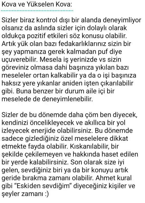 o15 (13).webp