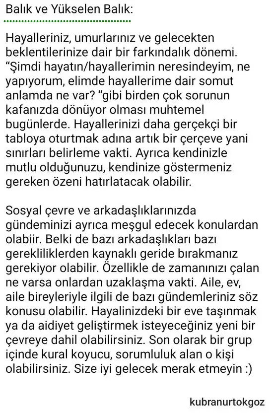 o15 (14).webp