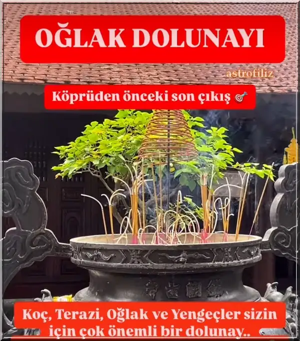 o16 (1).webp