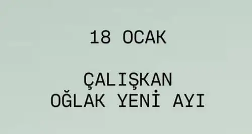o16 (2).webp