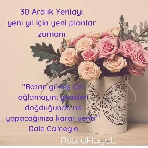 o16.webp