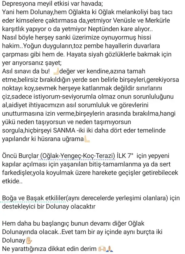 o17 (2).jpg