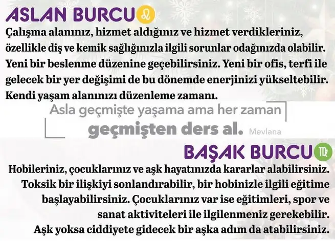o18 (4).webp