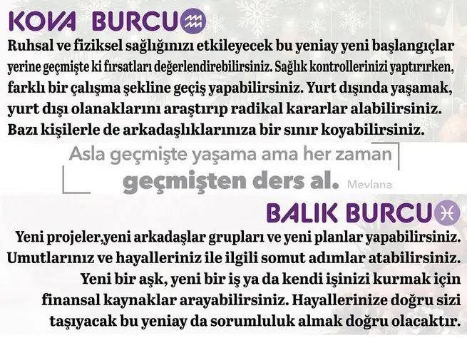 o18 (7).webp