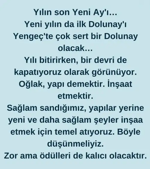 o19 (8).jpg