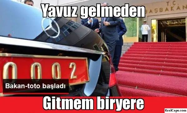 o1y8lg.webp