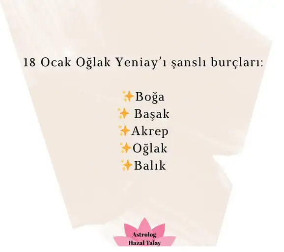 o2.webp