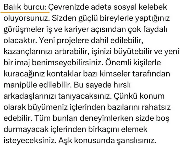 O3 (16).webp