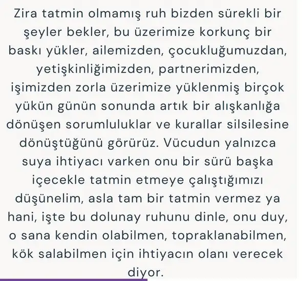 o5 (10).webp