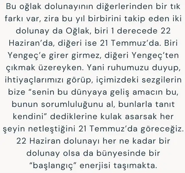 o5 (11).webp