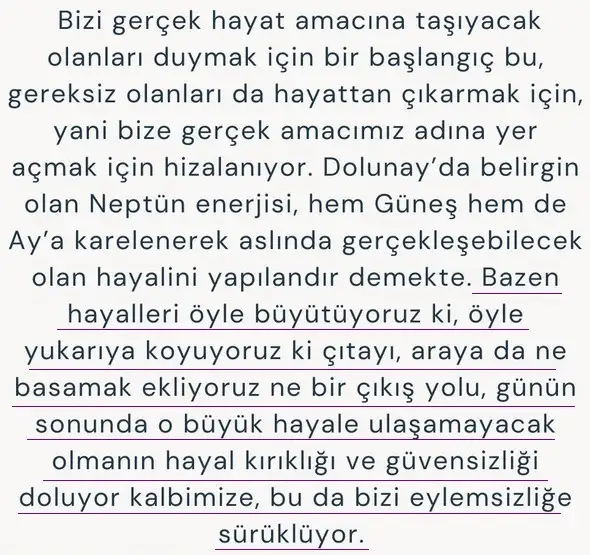 o5 (12).webp