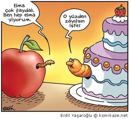 o_y_zden_zay_fs_n_i_te_karikat_r_.webp