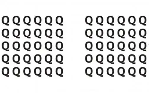 obo.webp