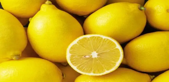 odem_atma_kuru.webp