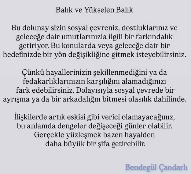 oğ22 (13).webp