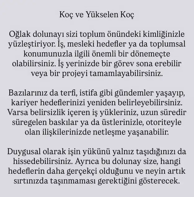 oğ22 (2).webp