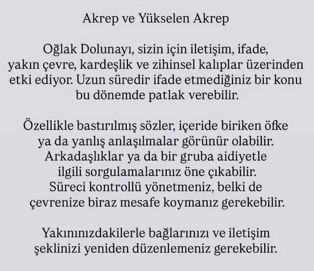 oğ22 (9).webp