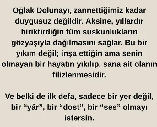 oğ6 (6).webp