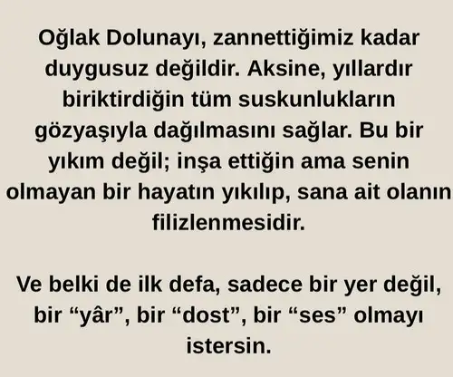 oğ6 (7).webp
