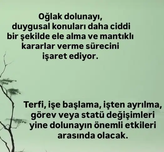 oğl3 (2).webp