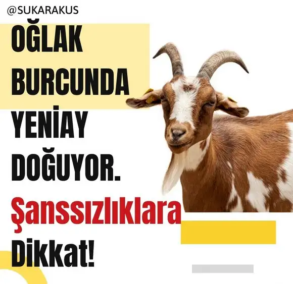 oğlak yeniayı1 (1).webp
