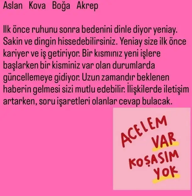 oğlak yeniayı10 (2).webp