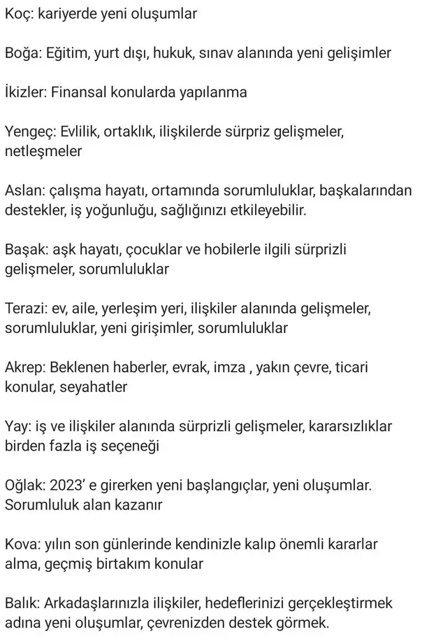 oğlak yeniayı33 (2).webp