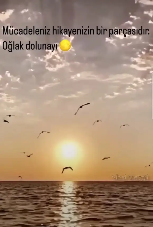 oğlak1 (1).webp