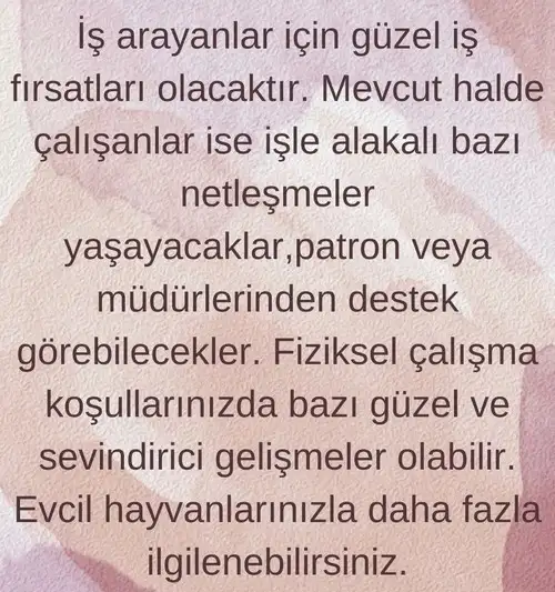 oğlak11 (10).webp