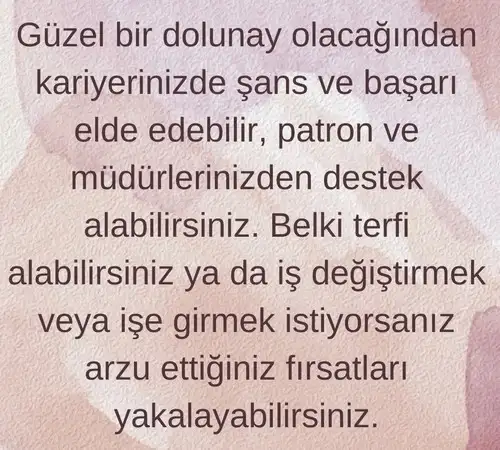 oğlak11 (2).webp