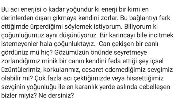 oğlak3a (3).webp