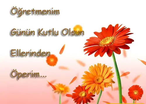 ogretmenler_gunu (1).webp