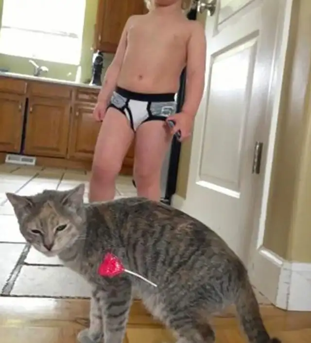 okm.webp