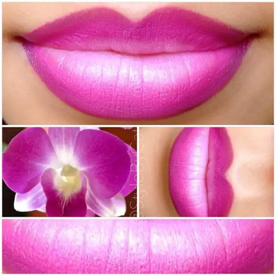 orchid.webp