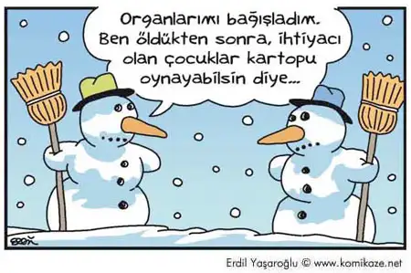 Organ_Ba.webp