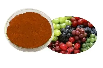 Organic-Grape-Seed-Extract-grapefruit-seed-extract.webp
