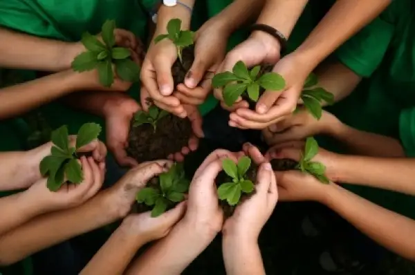 Organic-School-Gardens_home-page1.webp