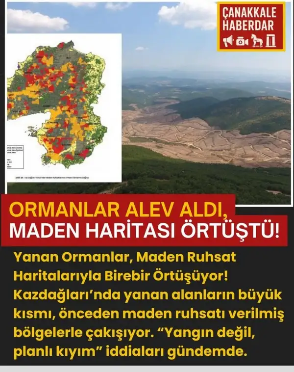 orman (1).webp