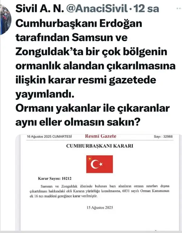 orman (2).webp